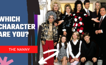 THE NANNY QUIZ
