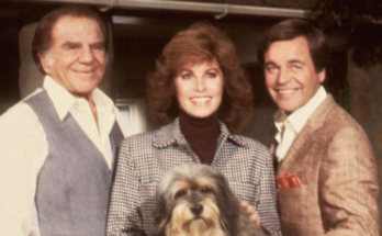 Which Hart to Hart Character Are You?